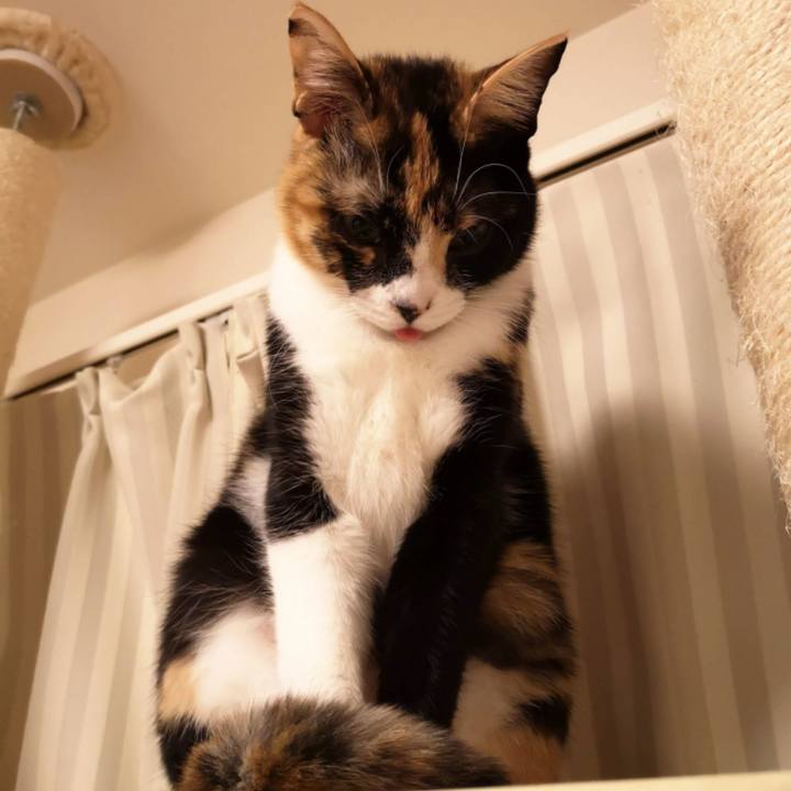 72a65f4f b0b3 4da5 b4db ad089663d490 1610373645985