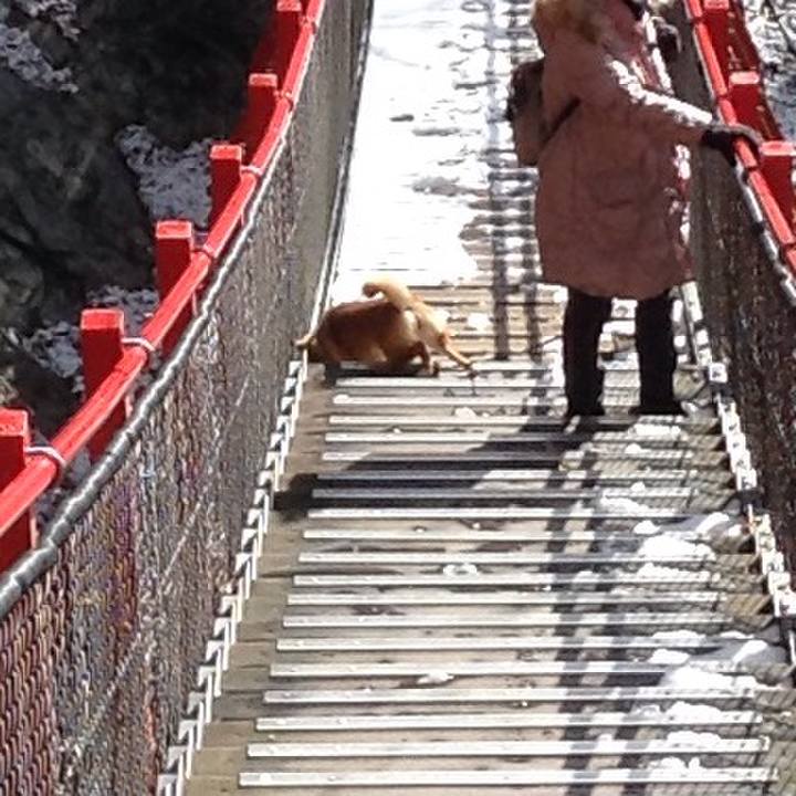 72a65f9f e782 4d6c b12f 13b7bf94f2ed 1544877695071