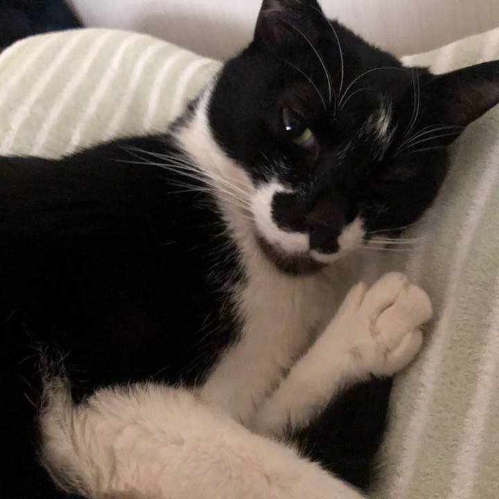 72a6e3bd 2842 481d 8213 3b82f07fcead 1610381732099