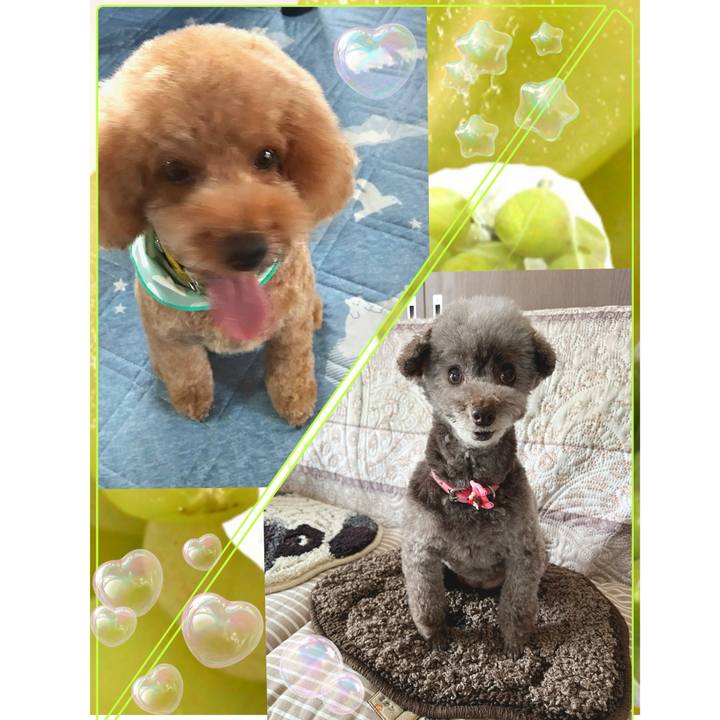 72a703c3 d072 4062 ab76 424d0d5e9541 1724650116253