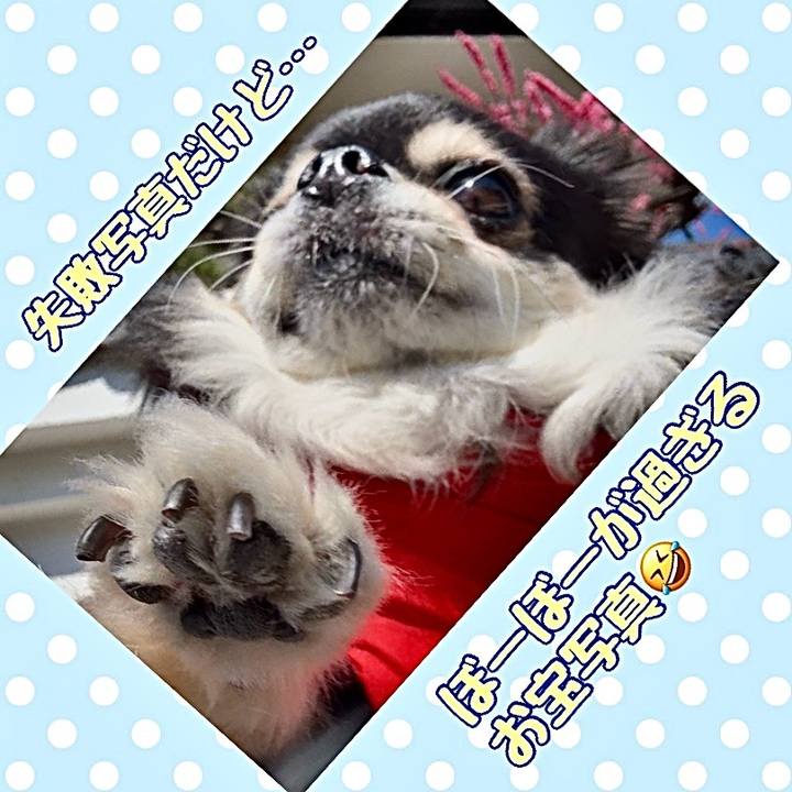 72a714e8 7b0d 4f1c 8975 66df6ae80c56 1742380641756