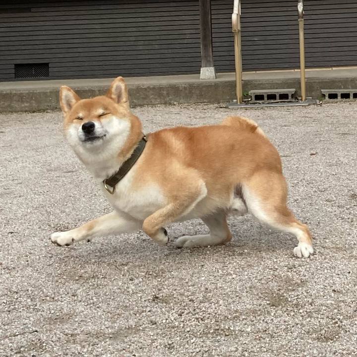 72a73066 acfb 457e 8ac2 5e1eeb579d40 1624953642289