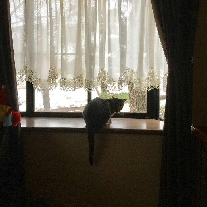 72a7db0c 43a6 42ea a56e c685f3df6921 1521362661296