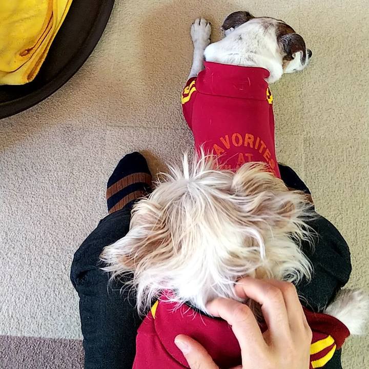 72a7e4ab d114 4ffb 8a0b 0b088f2c76fc 1577937315940