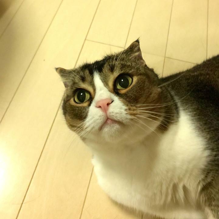 72a7ee86 630b 49a6 8f02 a1d0b5ee27de 1657626901409