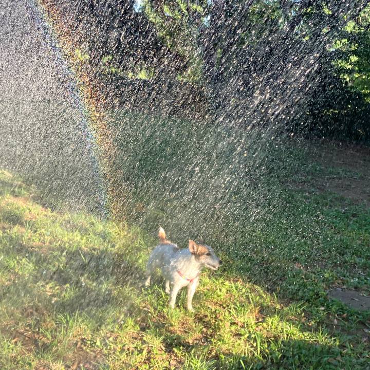 72a7eec1 03de 4453 9300 caf7329c5636 1690327382396