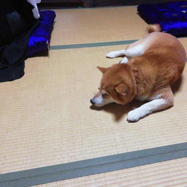 72a812b9 2d3e 4396 bd1a b6dd738599b3 1660388994197