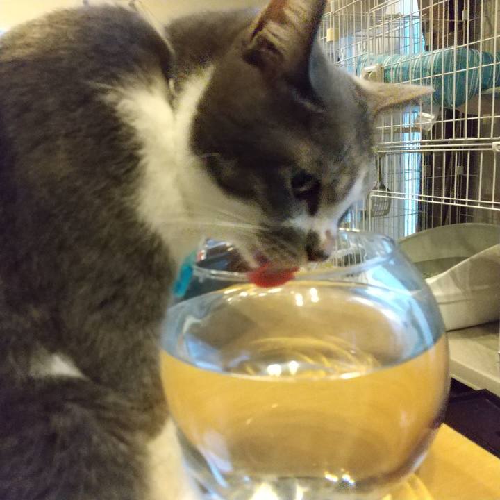 72a89162 b5c5 4996 bf4b 46c01150f2b4 1629668963418