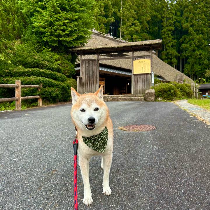 72a89504 e84a 4fa6 93ab 1398ac1ad117 1759570478004