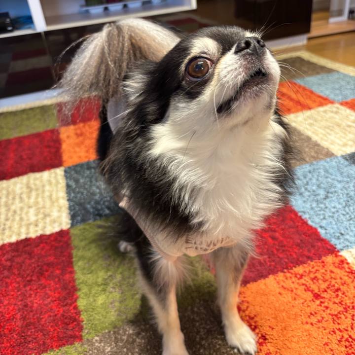 72a8ae13 7b1a 4a0e aed8 7f2d503aa82c 1762706692259