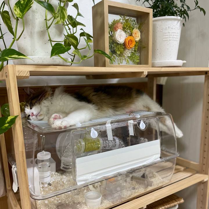 72a8b455 294a 4b44 aafd 2cf20f9e142f 1641389525468