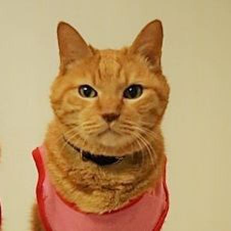 72a8b5bb 3516 4037 9749 931586043c69 1669508467595