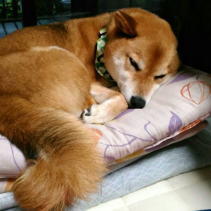 72a8b993 62c0 4666 99a7 0041ac7cbd1c 1560244175717