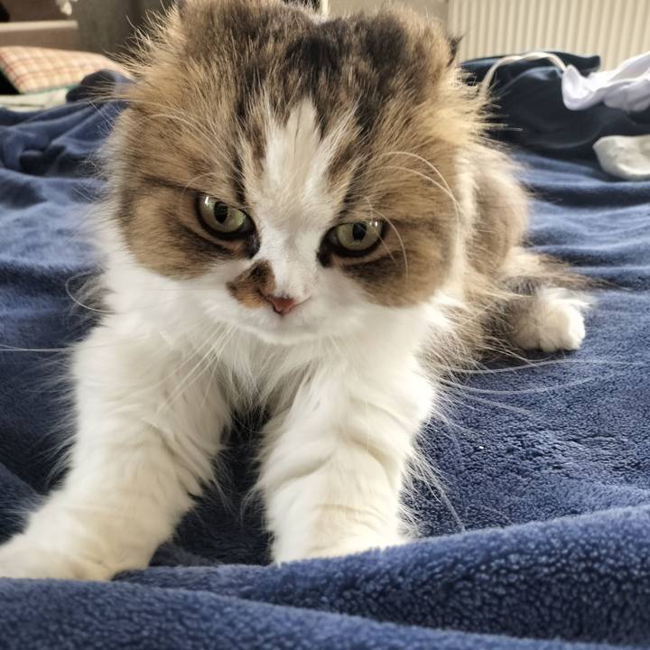 72a8c910 6876 4d0c a967 7c2077dbfd9a 1760227834828