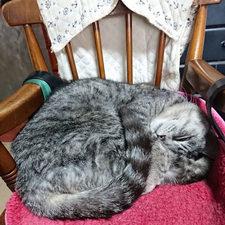 72a9293b 052b 49f1 9550 5354e06066ba 1581813851133