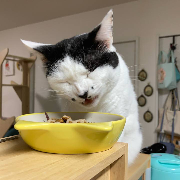 72a94fa6 8113 40a1 8359 a6375f8c6a2a 1759522944828