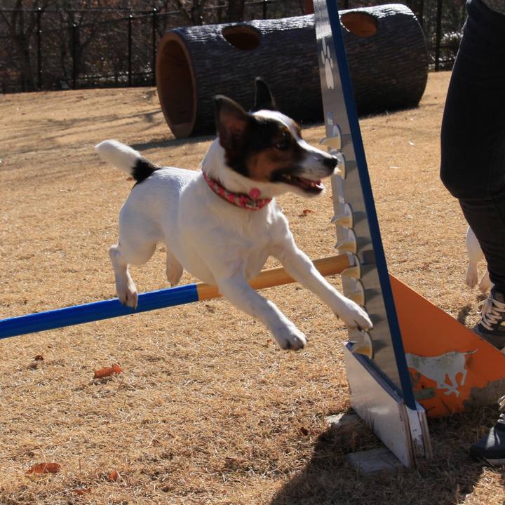 72a9505c 8c16 45e8 9c42 8832e2eabd43 1513496044933