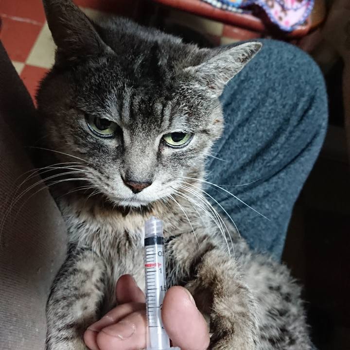 72a9565d b285 4f59 b9b7 00a55c41c42e 1577825139301