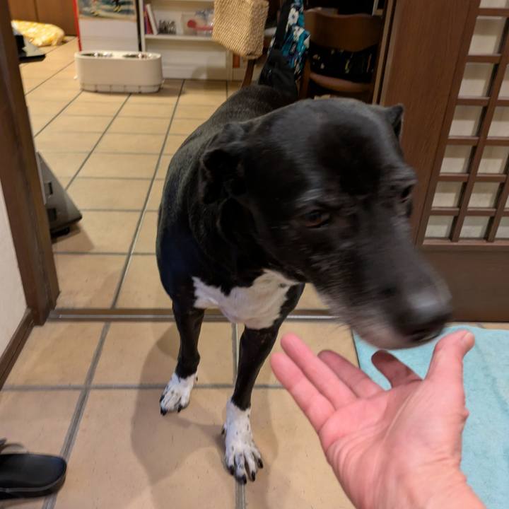 72a9747c da75 4e45 b014 6fd8c914c470 1737631068567