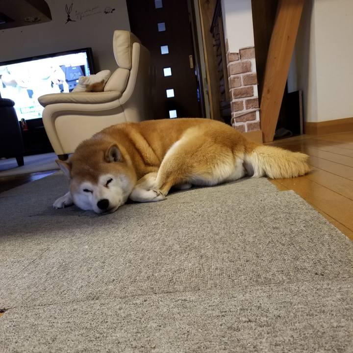 72a977f2 3c5a 48eb b859 98fd38b38bb0 1636238872510