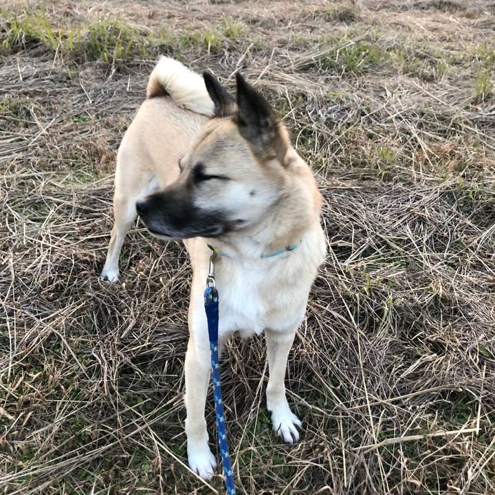 72a99f08 1780 4278 a01e 95c206c5f6de 1610023446556