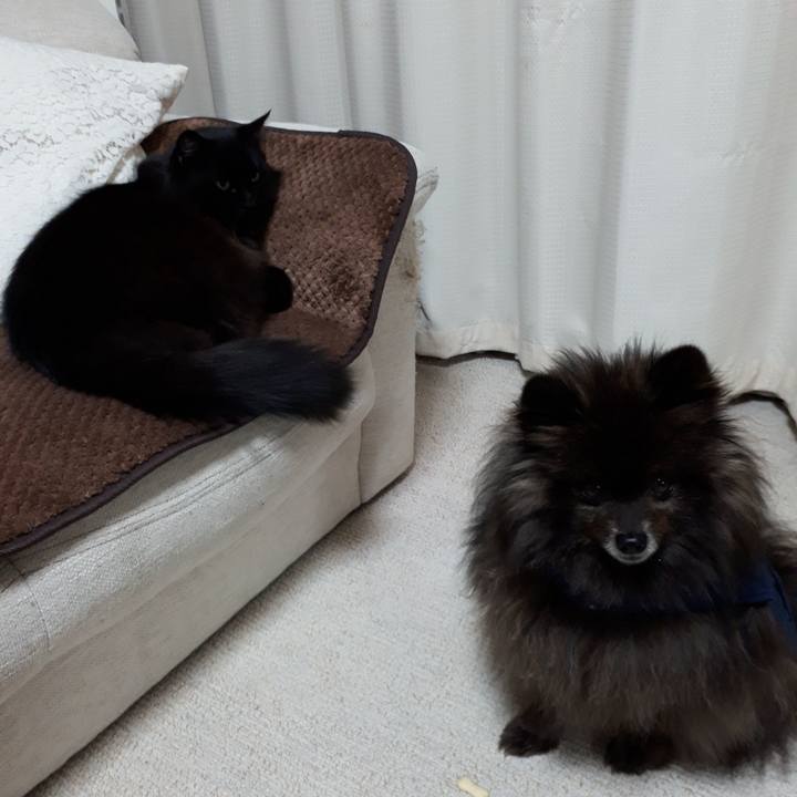 72a9bd8e ae6f 48e9 9e0f 160dc19f6bb7 1518726128888