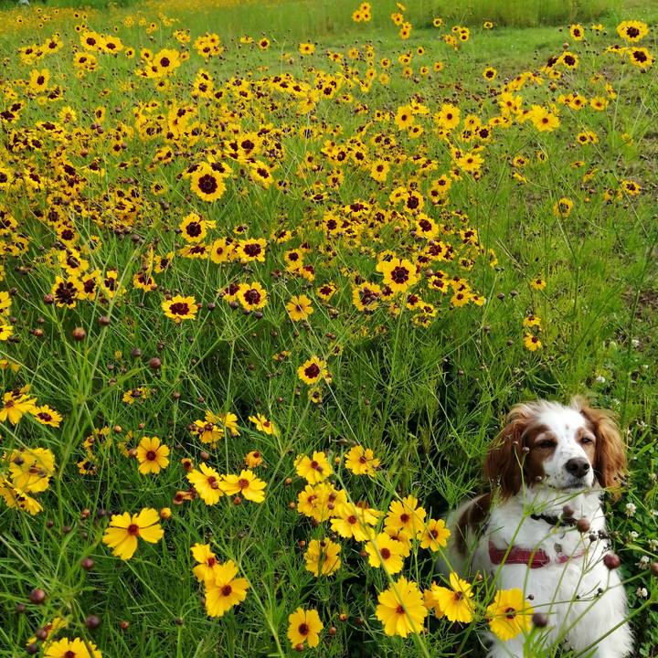 72a9c3d2 993e 4cf1 86d5 da1397b2919f 1623928307834