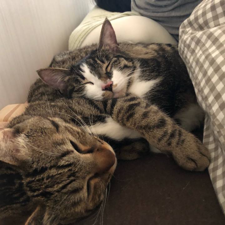 72a9fba0 3958 4331 ba9d e85acad078f9 1522064962651