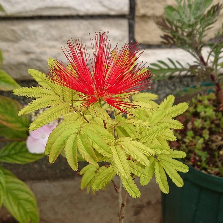 72aa0795 efa6 41d1 8981 410a52e0876b 1587987126251