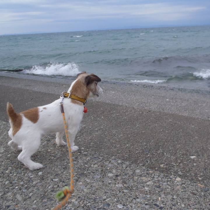 72aa19a8 3e8f 416e 873e 146329c37398 1512890379477