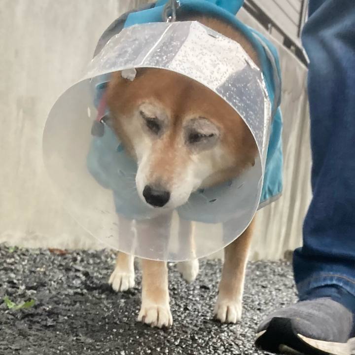 72aa20db 1ed1 42f5 b7ee 64be03bf6c70 1666603047735