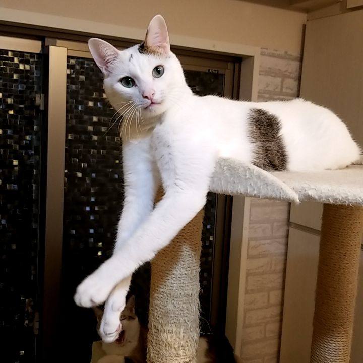 72aa3604 b0e7 4710 ae61 39e7b0ed276e 1572834516448