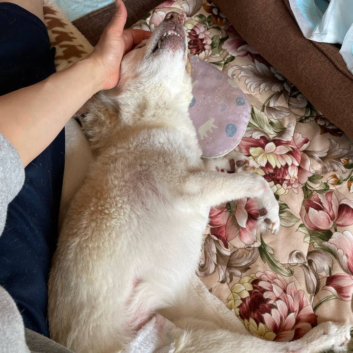 72aa383d aeb6 4d01 b7fb 720d050a6fe2 1678161871536