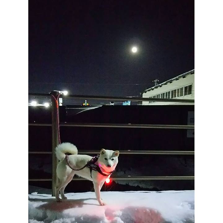 72aab6a7 3e21 4228 9681 be991efc4c54 1517483340640