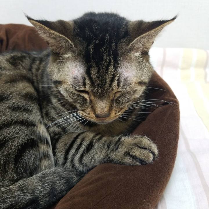 72aac85f 0e7c 467e 8960 f514c3ceb072 1579037071497