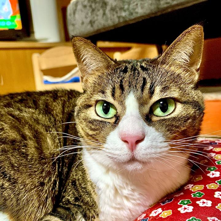 72aae441 c211 400d 9526 757ef6d9295b 1575717776897