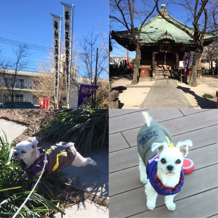 72ab2f8c 0476 420d 90d1 f0d91c9ffaf0 1546335157901