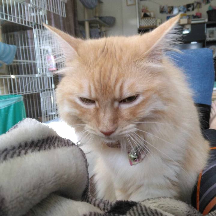 72ab7d8e be94 4340 a1dd 505b9ee0a767 1690237420973