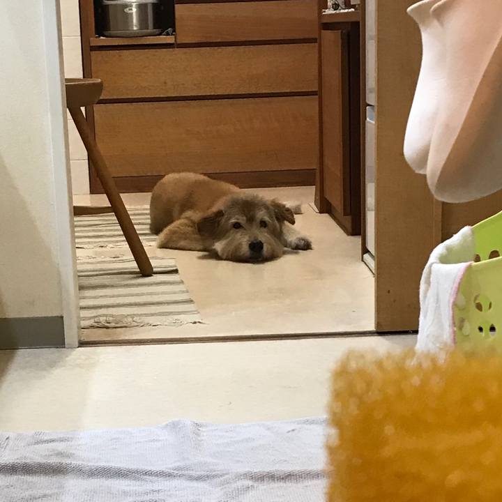 72abc6c7 2f13 448c b584 1d63d6713a1f 1598598927851