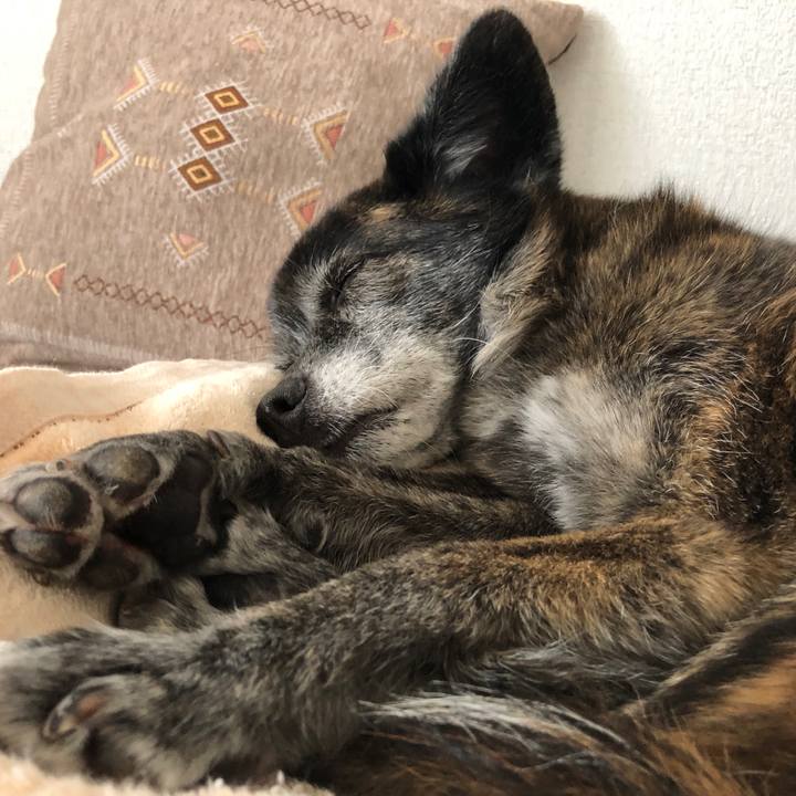 72abe448 4590 423f 8a6c 31f58bb890cc 1686139408613