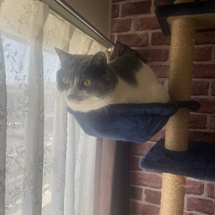 72ac06f2 ef00 422f bcce 63402387817b 1709778449729