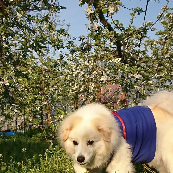 72ac3b70 f435 4d59 86c3 420849587f1f 1524346065988