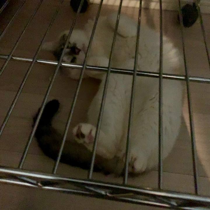 72acf541 d16f 4e01 90b7 5106bee1c186 1558308273938