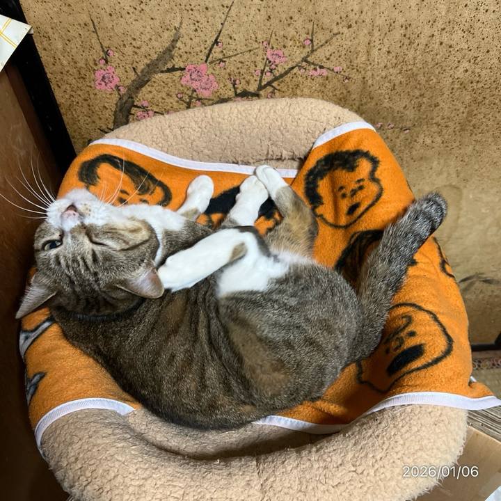 72ad2741 146b 4cc2 bfd5 6caf7b42bec4 1767651633055