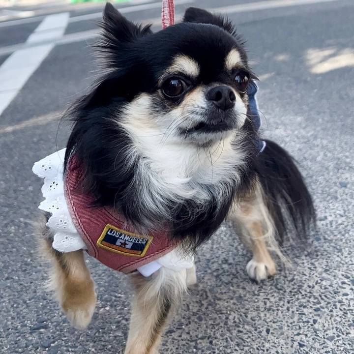 72ad6107 63ae 47b0 b003 ea86458f0988 1668122820940