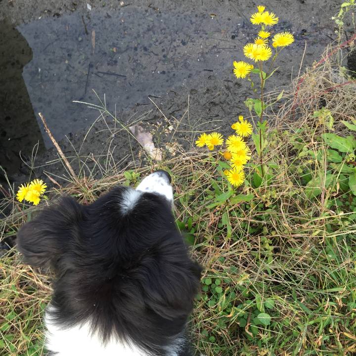 72ad8ea3 f2ac 49f3 b61f 290ce99cc955 1539734834225