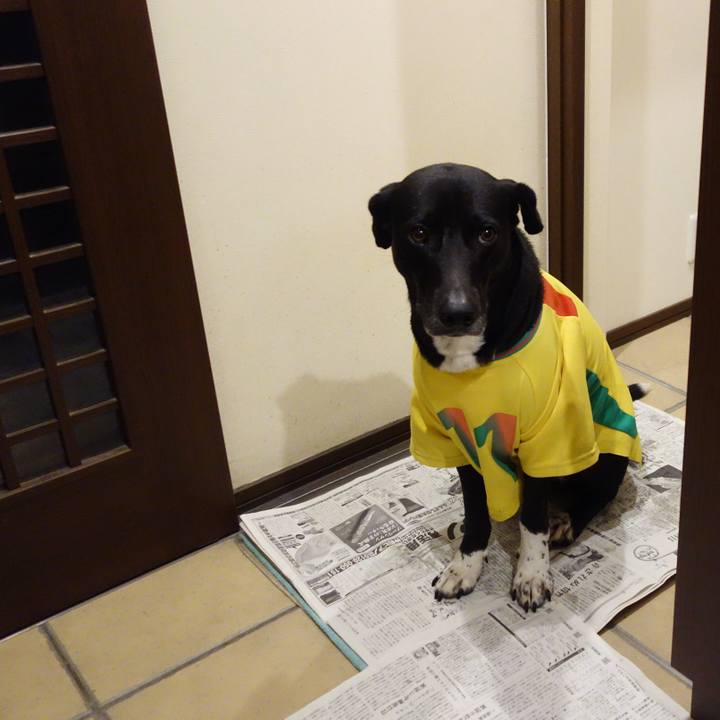 72adbb23 bb3d 4aa9 88c4 5f2d65abec15 1616324147381