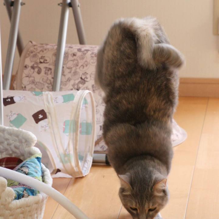 72add57a 65b9 4bc5 ba17 5c737c932905 1559201867502