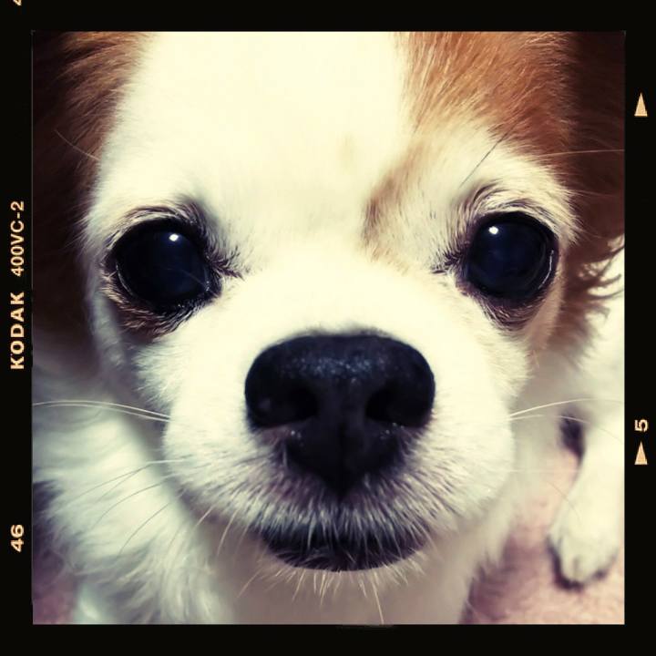 72adf34c 17a1 4d94 9210 628f8917f635 1597232284253