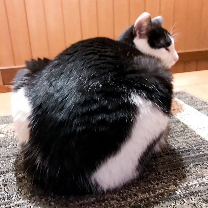 72ae14cd c5f9 49d7 b381 d7e0acf4ed5e 1521380092615